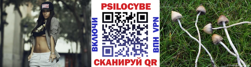 Псилоцибиновые грибы мицелий  как найти   блэк спрут ссылки  Кадников 