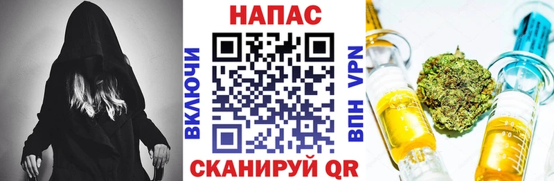 Бошки марихуана MAZAR  наркотики  Кадников 